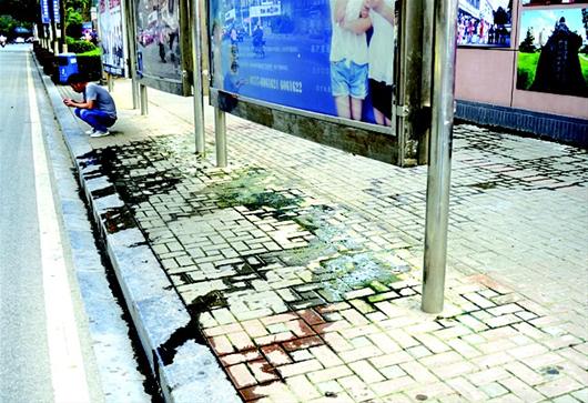 三峡晚报讯 (记者赵宽)墙内管道破损污水流,墙外公交站台遭殃。19日,市民周女士致电本报新闻热线6233333,称公交站台后方有一厕所,污水外溢,臭气熏天。